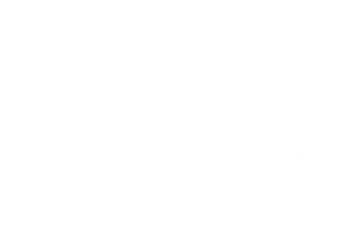 Holland logo